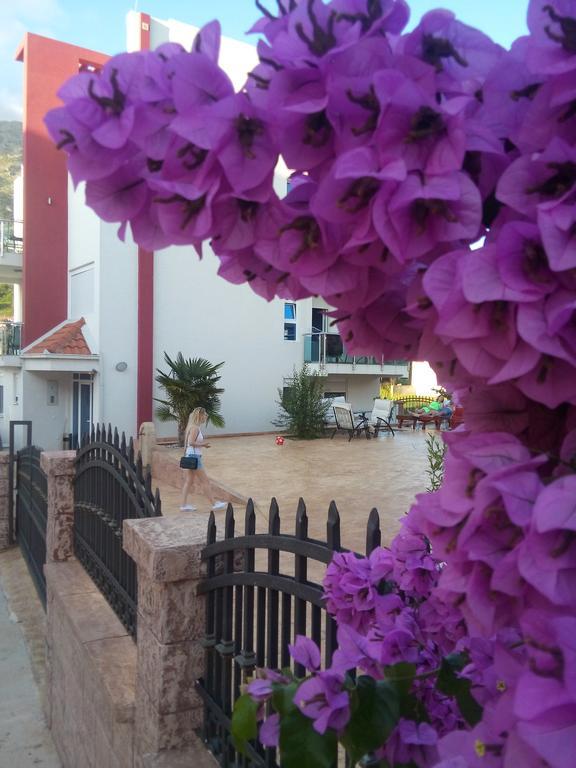 Apartments Vila A1 도브라 보다 외부 사진